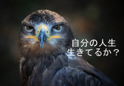 過去が今を作るのではなく未来が今を作っている思考の方が・・・